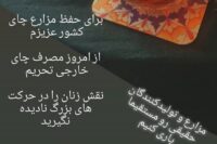 خشکبار علی محمدی