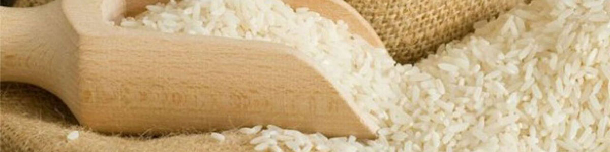 شالیکوبی و سورتینگ و بسته بندی برنج مهندس صابر