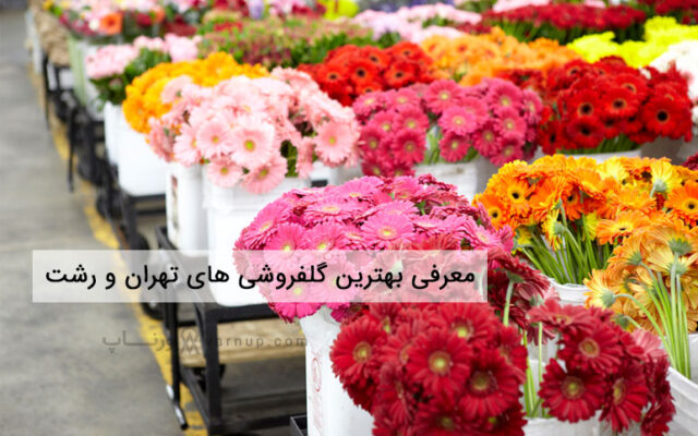 بهترین گل فروشی در تهران و رشت