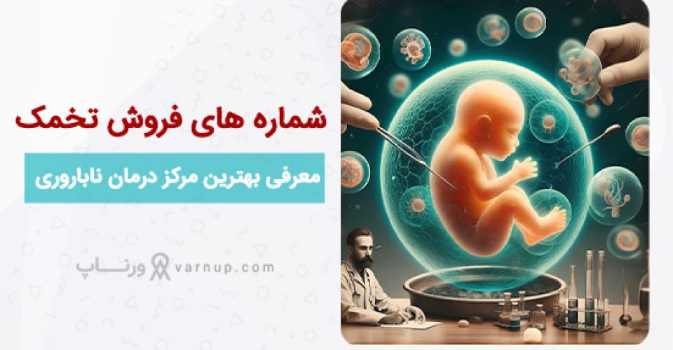 شماره تماس اهدا کننده تخمک | تمام شهرها | ورناپ
