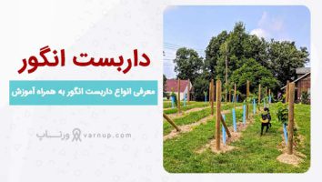 معرفی 10 مدل انواع داربست انگور به همراه آموزش + قیمت