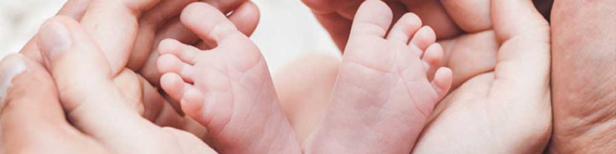 شماره تماس اهدا کننده تخمک در اصفهان | پاسخگویی 24 ساعته | ورناپ